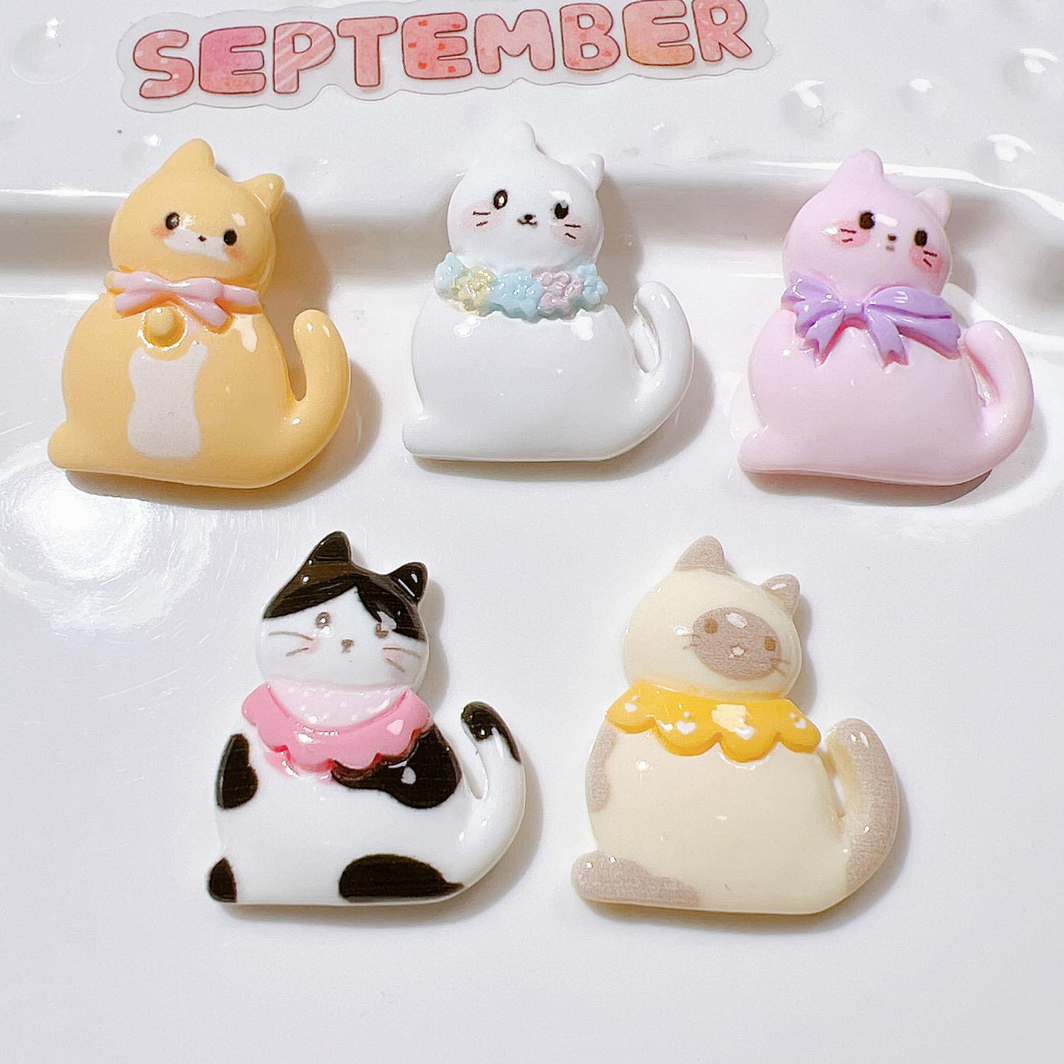 10/20Pcs Cute Bowknot Cat Flat - Resin Art Earrings Material review and price