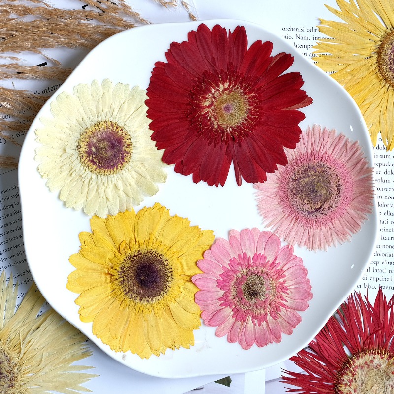 1pcs/7-9cm,Pressed Gerbera Dri - Resin Art Sticker review and price